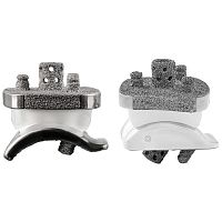 Cemented total ankle prosthesis Vantage®