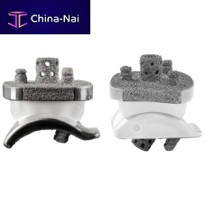 Cemented total ankle prosthesis Vantage®