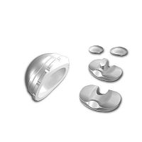 Unicondylar tibial bearing X3