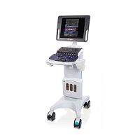 On-platform, compact ultrasound system Z. One PROfor cardiovascular ultrasound imagingfor emergency medicine ultrasound imagingB/W