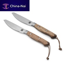 Steak knife with wooden handle CULINAwith metal blade