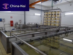Cheese brining system