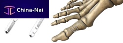 Forefoot bone staple CHARLOTTEnon-absorbable