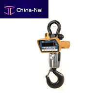 Digital crane scale