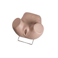 Hysteroscopy simulator GD/F35gynecological carefemalelower body
