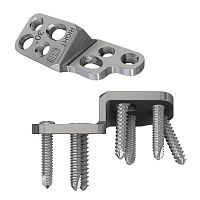Knee veterinary osteotomy plate DPOfor canines