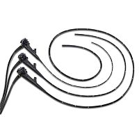 Video veterinary gastroscope V