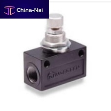 Bi-directional flow limiter T1100C2800