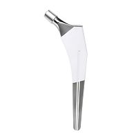 Cementless femoral stem HA