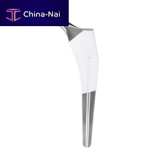 Cementless femoral stem HA