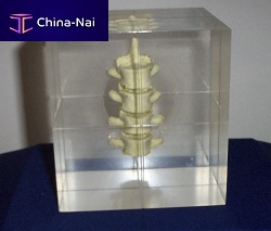 Radiography test phantom RS-1400spine