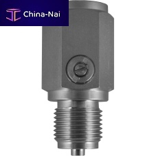 Pneumatic pulsation damper PD for pumpfor compressors