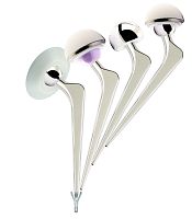 Primary hip prosthesis Avanteon®cemented