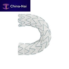Ascending thoracic aorta stent graft Relay®Pronitinolbare