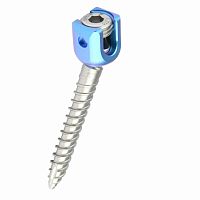 Thoracic-lumbar vertebra pedicle screw REED Polyaxial Screwpolyaxialmetallic