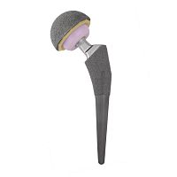 Revision hip prosthesis LINEAR® primarycementless