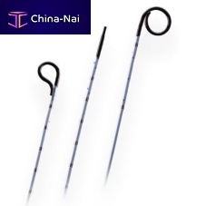 Mapping catheter Accu-Vu®sizingblood vesselrenal artery