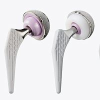 Primary hip prosthesis cementless