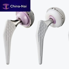 Primary hip prosthesis cementless