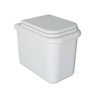 Back to wall toilet TC220ceramictraditionalfor school