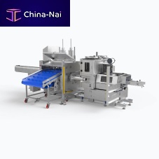 Automatic stuffer PIC 99 BCEelectricnet-casingintestine casing