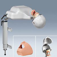 Dental care patient simulator PK-1 TLhead