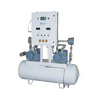 Anesthetic gas scavenging system 327veterinary surgery