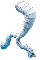 Abdominal aorta stent graft Aorfixnitinol