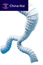 Abdominal aorta stent graft Aorfixnitinol