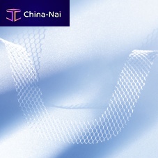 Prolapse reconstruction mesh BSCcolpocelevaginal approachwomen