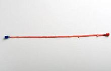 Saphenous vein vascular bioprosthesis CryoVein® allograft