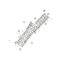 Coronary stent Nile® Paxcobalt-chromiumdrug eluting