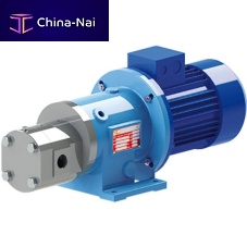 Gear pump GS Mag-Mwaterelectricstationary