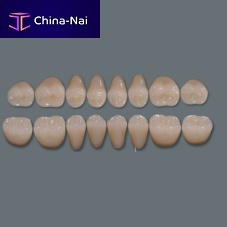 Acrylic dental prosthesis Three-layeranterior teethposterior teeth
