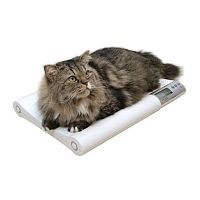 Electronic veterinary weighing scale MS2410for large animalswith LCD displayplatform