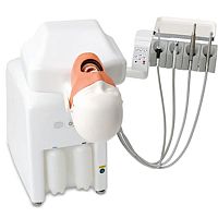 Dental care simulator Sytplus