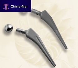 Cementless femoral stem BA