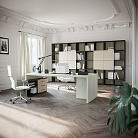 Contemporary desk OF 52elm
