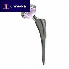 Primary hip prosthesis Excia®cemented or non-cemented