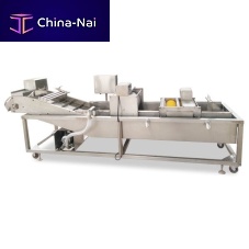 Vegetable food cleaning machine for fruitfor fishair
