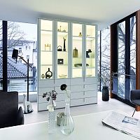 Contemporary display case COLLECToak