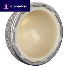 Cementless acetabular prosthesis Alteon®