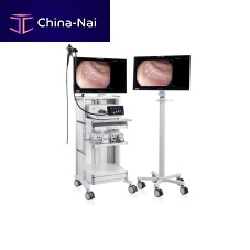 Gastroenterological endoscopy column DISCOVERY