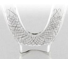 Peripheral stent LVISnitinolself-expanding