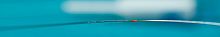 PTCA catheter Harmony®coronaryballoonhydrophilic