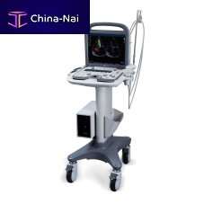Portable, with trolley ultrasound system P11 Expertfor cardiovascular ultrasound imaging3D/4Dcolor doppler