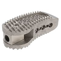 Thoraco-lumbar interbody fusion cage Tra-Titransforaminaltitanium