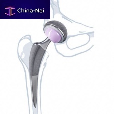 Primary hip prosthesis Excia® Tcemented or non-cemented