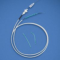 Biliary access sheath PSIpancreatic