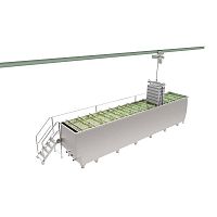 Cheese brining system